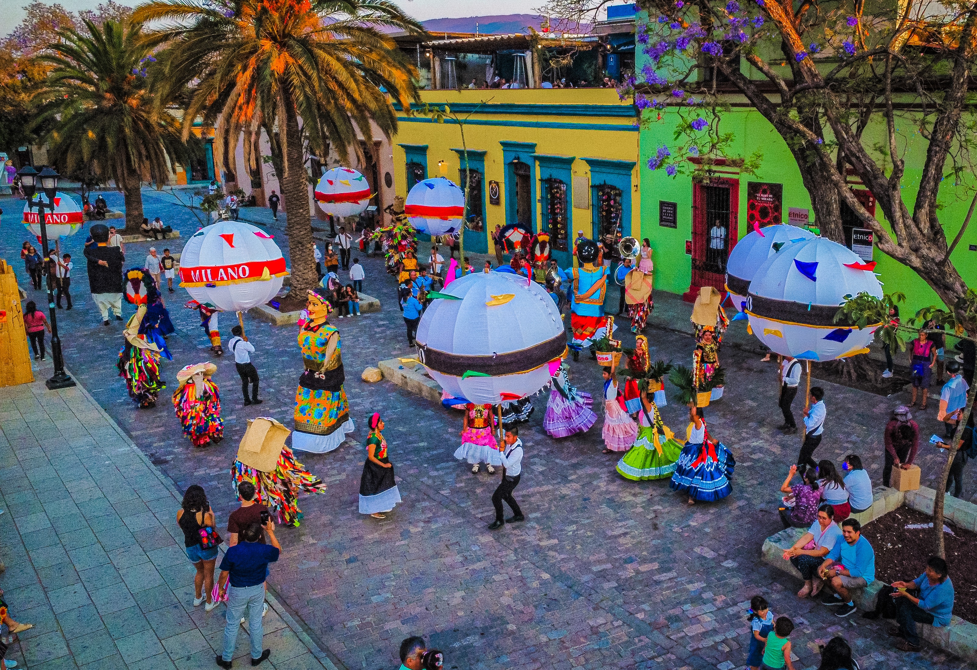 Marmotas Tradicionales